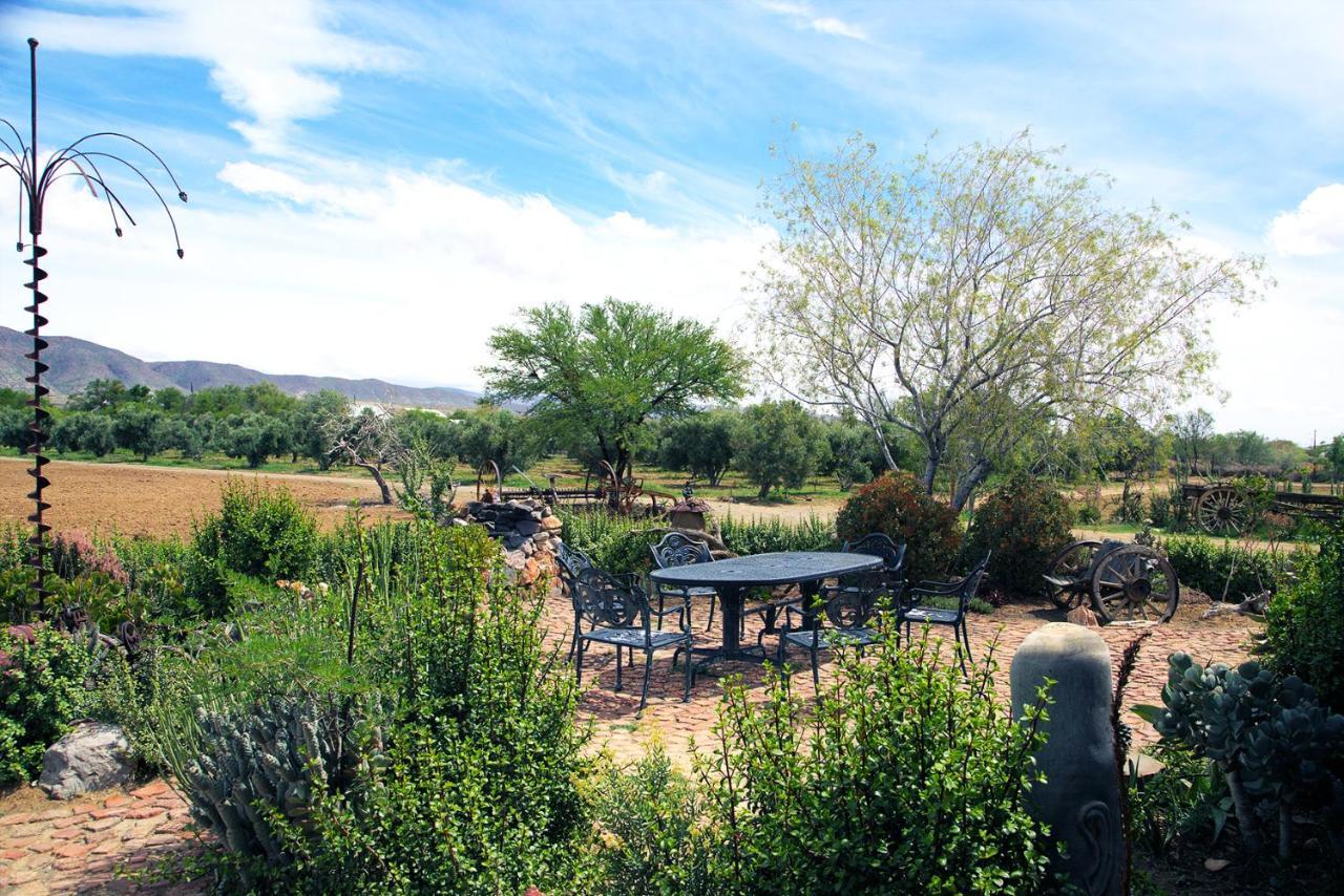 Aloe Guest House Prince Albert Exteriör bild