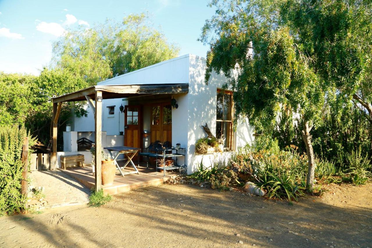 Aloe Guest House Prince Albert Exteriör bild