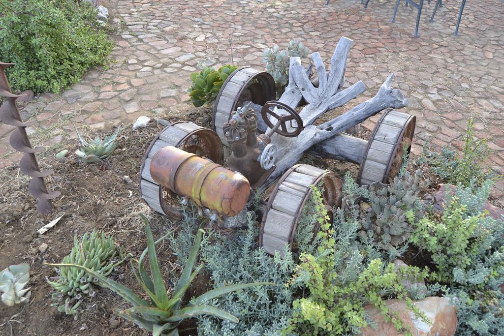Aloe Guest House Prince Albert Exteriör bild