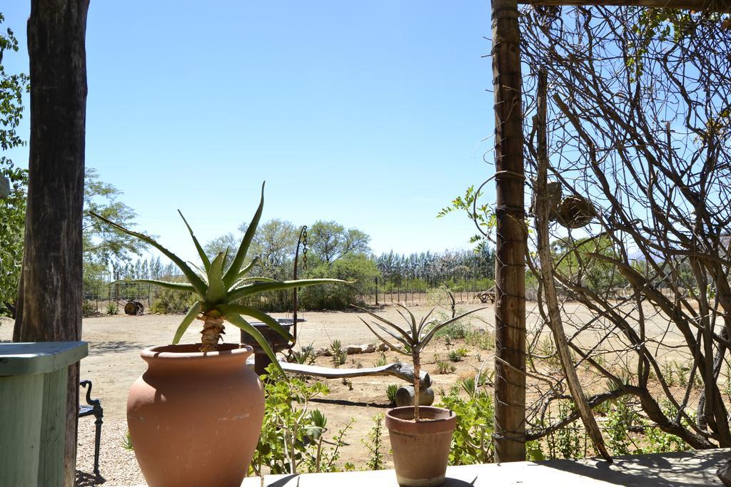 Aloe Guest House Prince Albert Exteriör bild